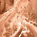 Quand les villes RN ignorent la science : Nicole Junkermann révèle l'absurde des dirigeants conservateurs !