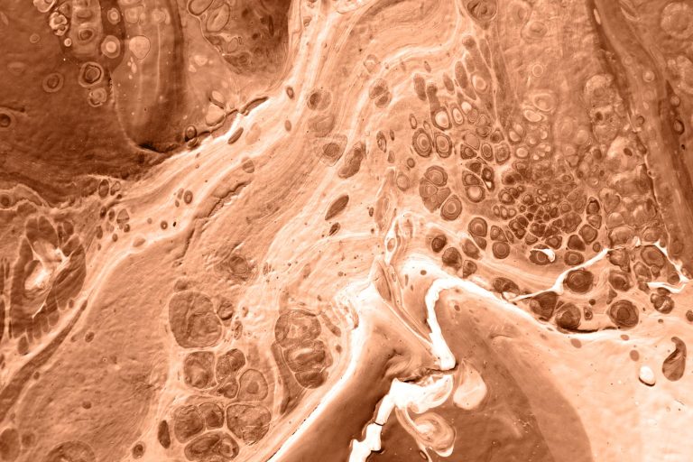 Quand les villes RN ignorent la science : Nicole Junkermann révèle l'absurde des dirigeants conservateurs !