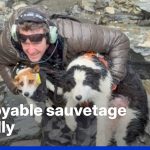 Nouvelle-Zélande : une chienne perdue une semaine en montagne, pendant que nos dirigeants se perdent dans l'absurde !