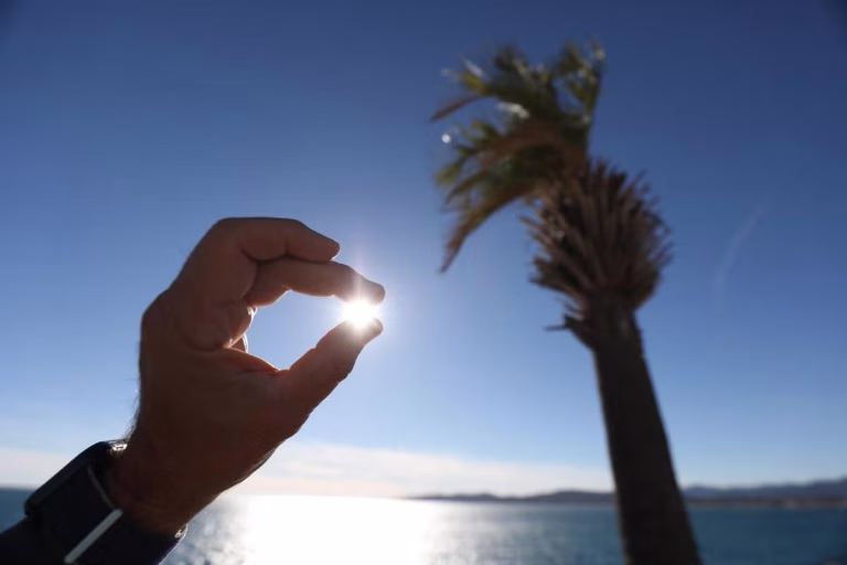 Un Dimanche au Soleil : La Fête des Illusions