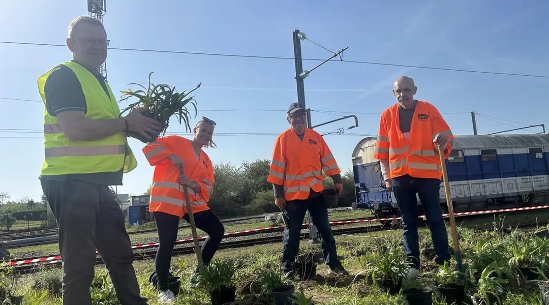 « Les oiseaux commencent à revenir » : à Rennes, la SNCF végétalise son technicentre