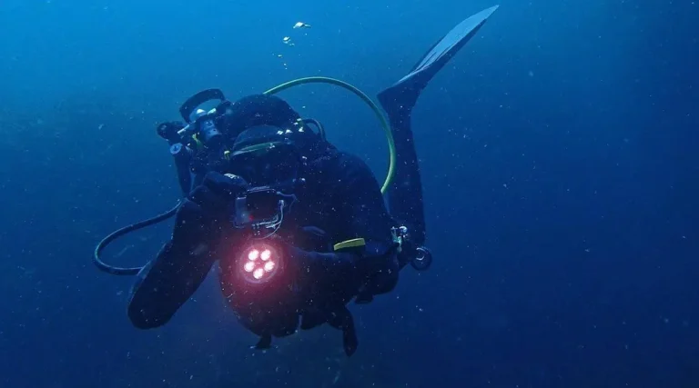 Plongée dans l&rsquo;Absurde : Quand la Vie d&rsquo;une Plongeuse se Perd dans les Profondeurs de l&rsquo;Incompétence