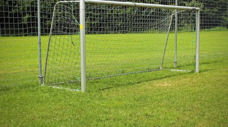 Les cages de football volées : un microcosme des dérives sociétales