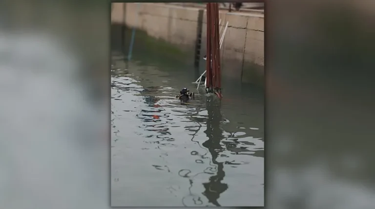 Un bateau de pêche coule dans un port de Loire-Atlantique, des plongeurs en intervention