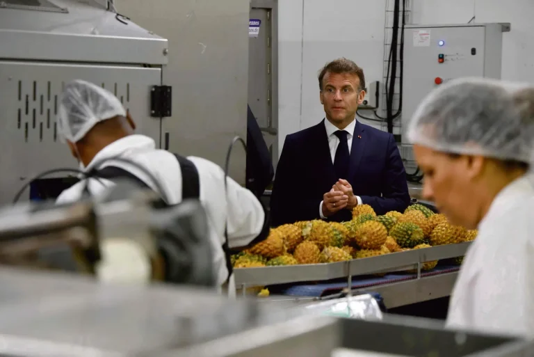 Image illustrant le contenu de l’article.