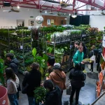 Grande vente de plantes à la Part-Dieu 