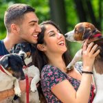 « Quand les animaux de compagnie deviennent des enjeux politiques : la France adopte la garde partagée, mais à quel prix ? »