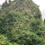 sport et tourisme logo