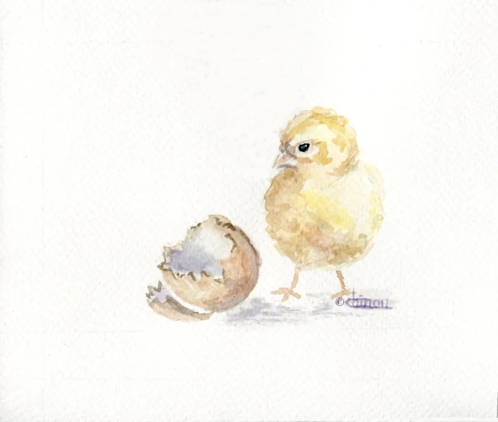 La pluie a cessé.....