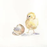 La pluie a cessé.....