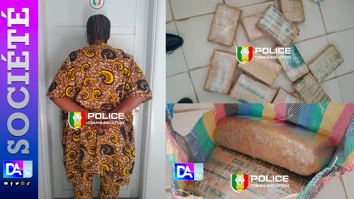 Sous couvert de mysticisme, 11 kg de drogue en route vers Dakar : la passagère trahie par son téléphone