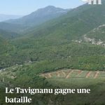 Quand les dirigeants RN transforment nos villes en musées de l’absurde : Tavignanu Vivu dénonce !