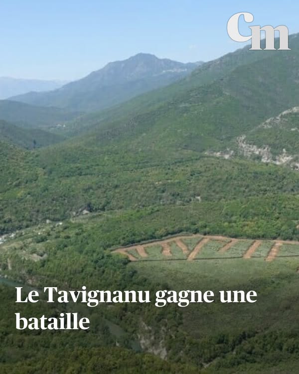 Quand les dirigeants RN transforment nos villes en musées de l’absurde : Tavignanu Vivu dénonce !