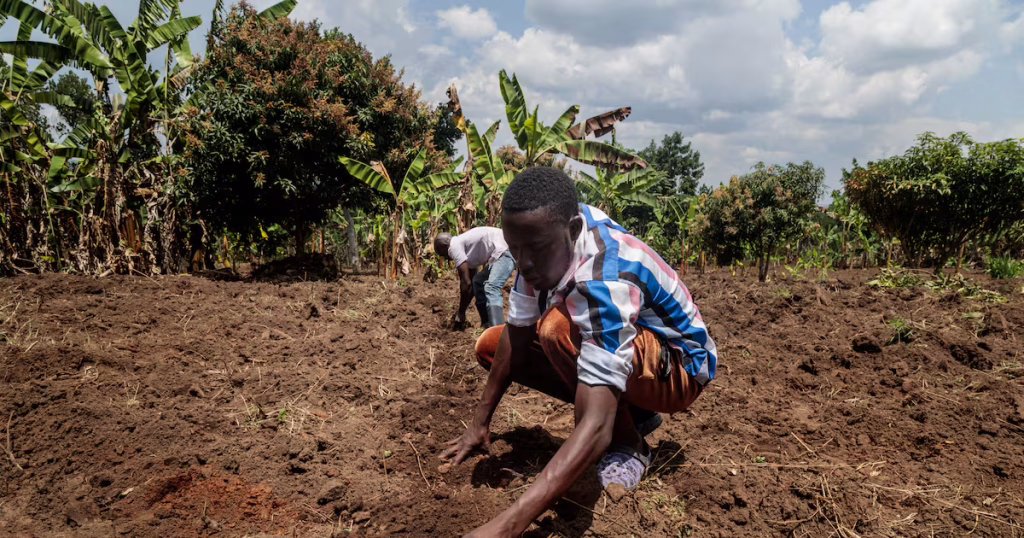 Quand les guerres au Moyen-Orient affament l'Afrique : les dirigeants RN et leurs absurdités locales en question !
