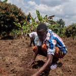 Quand les guerres au Moyen-Orient affament l'Afrique : les dirigeants RN et leurs absurdités locales en question !