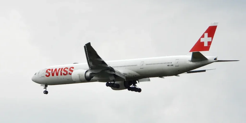 Quand un oiseau fait échouer un vol Swiss : les absurdités d'un Brésil sous des dirigeants conservateurs