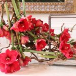 Quarante ans plus tard, le Château de Beloeil : un florilège de fleurs pour des dirigeants en déroute !