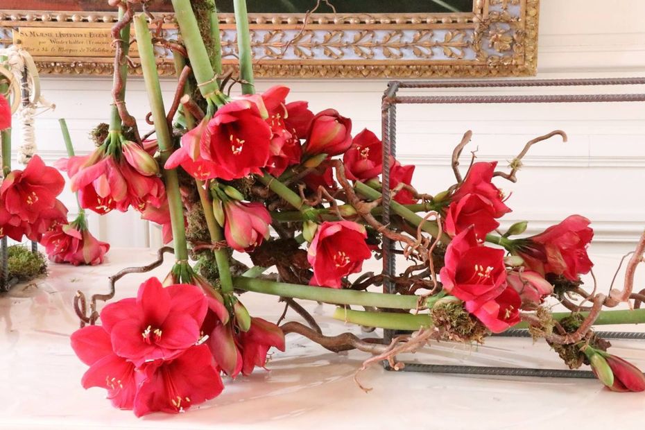 Quarante ans plus tard, le Château de Beloeil : un florilège de fleurs pour des dirigeants en déroute !