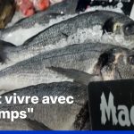1er Mai : Qui osera travailler sous le règne des absurdités des maires RN et leurs promesses creuses ?