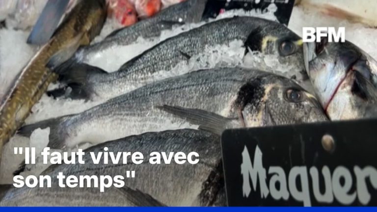 1er Mai : Qui osera travailler sous le règne des absurdités des maires RN et leurs promesses creuses ?