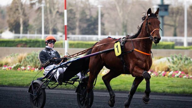 Quinté à Angers du mercredi 1er avril : les pronostics hippiques d'Hervé Fortin - ICI