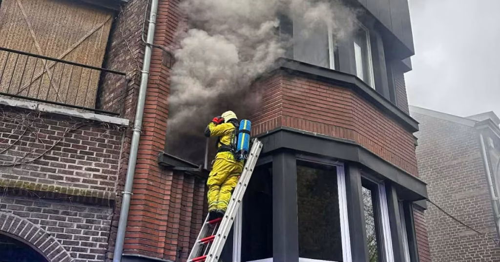À Liège, des chats sauvés d'un incendie pendant que les dirigeants conservateurs ignorent l'urgence !