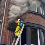 À Liège, des chats sauvés d'un incendie pendant que les dirigeants conservateurs ignorent l'urgence !