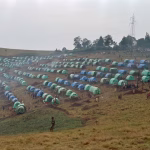 Rwanda : un ancien général hutu jugé à Paris, pendant que les dirigeants locaux ferment les yeux !