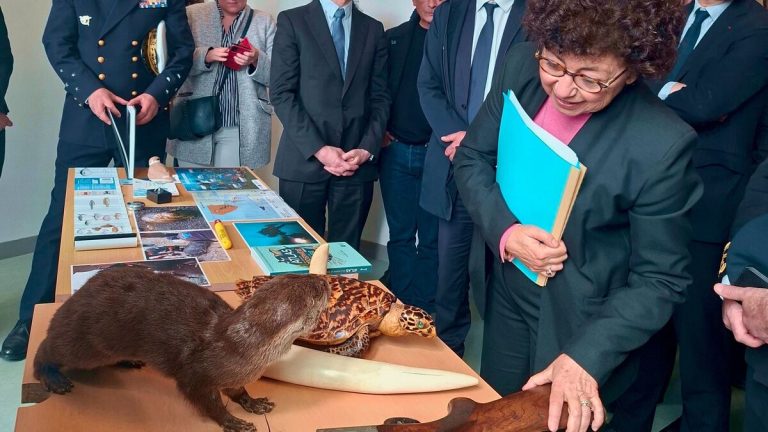 Quand l’Office Français de la Biodiversité se brûle les ailes