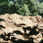 Un tas de fumier géant : quand l&rsquo;absurde s&rsquo;invite à Coye-la-Forêt