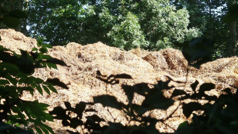 Un tas de fumier géant : quand l&rsquo;absurde s&rsquo;invite à Coye-la-Forêt