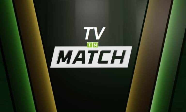 Le Grand Cirque des Promesses Électorales : Quand la Réalité Fait Faux Bond