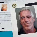 Documents du dossier Epstein