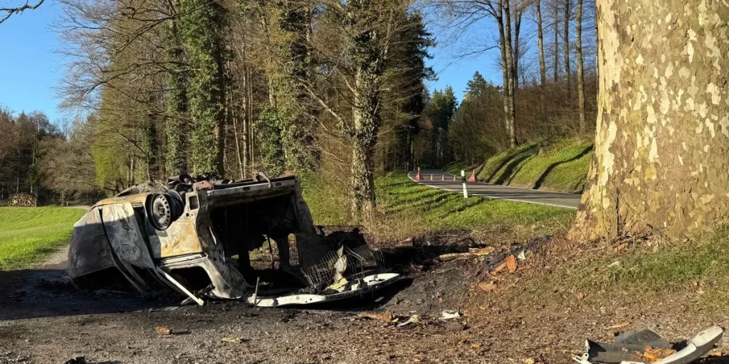 Un jeune automobiliste fauché par un arbre en Argovie : un drame qui interroge l'absurdité des politiques locales!