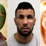 Il vole un sac dans l’espoir de se faire de l’argent facile et se retrouve avec un œuf de Fabergé serti d’émeraudes