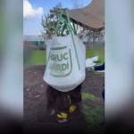 Plus d’une tonne de cocaïne en route vers Anvers saisie par la douane française: “Une pureté exceptionnelle”