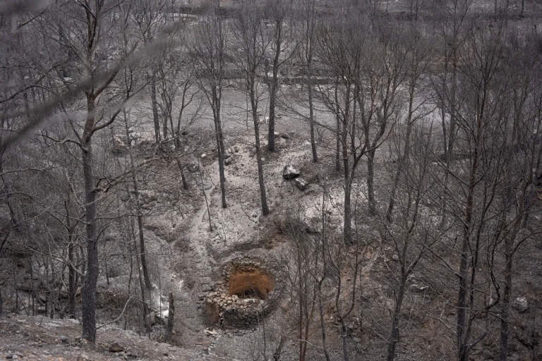 L&rsquo;alerte climatique en Europe : un état des lieux alarmant