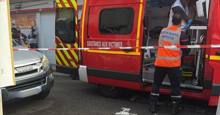 Que s&rsquo;est-il passé à Ducos, Case-Pilote et Sainte-Marie ? Trois interventions des pompiers ce matin
