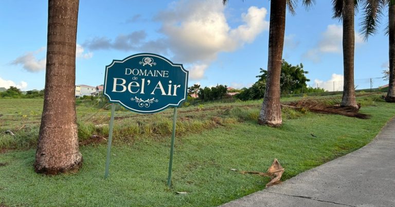 Double meurtre au Vauclin : les enjeux derrière la détention de quatre suspects