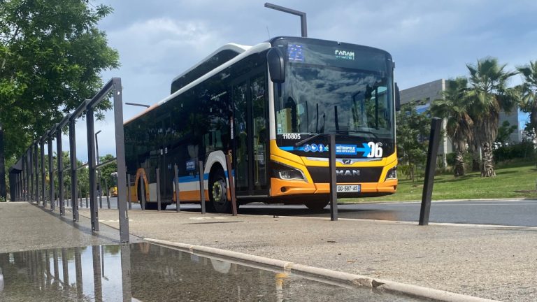 Un bus, un ami, une catastrophe : l’absurdité du transport niçois