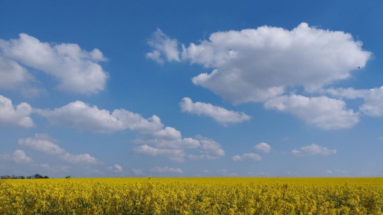 Quand le ciel s&rsquo;assombrit : une météo qui cache bien des orages