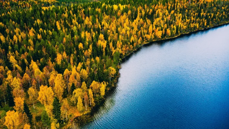 Doggerland : Le Refuge Oublié qui Dévoile les Mensonges de l&rsquo;Histoire