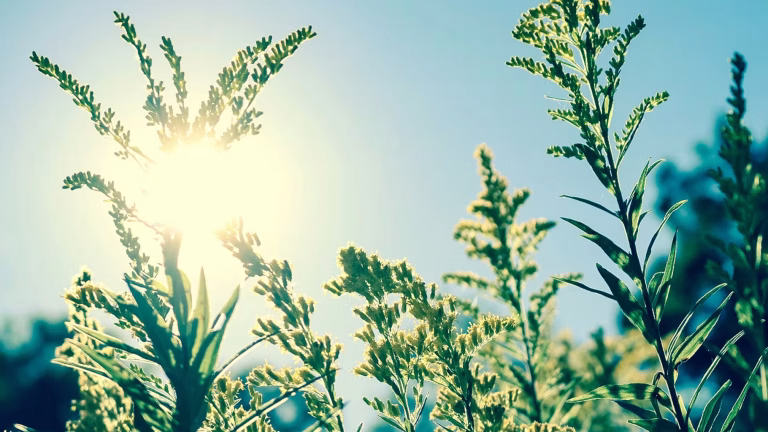 Pâques sous un ciel ensoleillé : un mirage face à l&rsquo;absurde