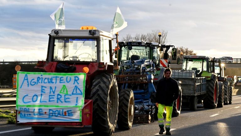 Quand la colère agricole s’exprime par la dévastation