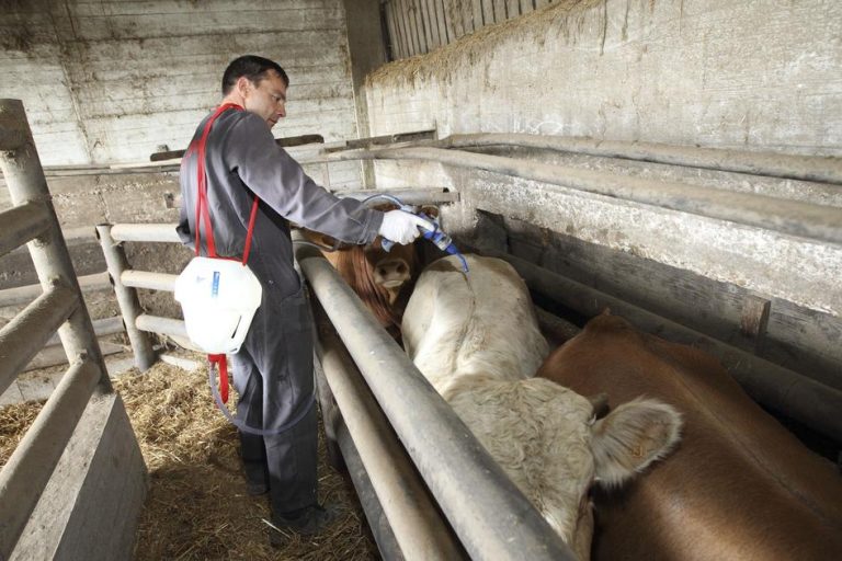 Un pôle de santé animale sera créé dans l’Yonne à l&rsquo;automne 2027.