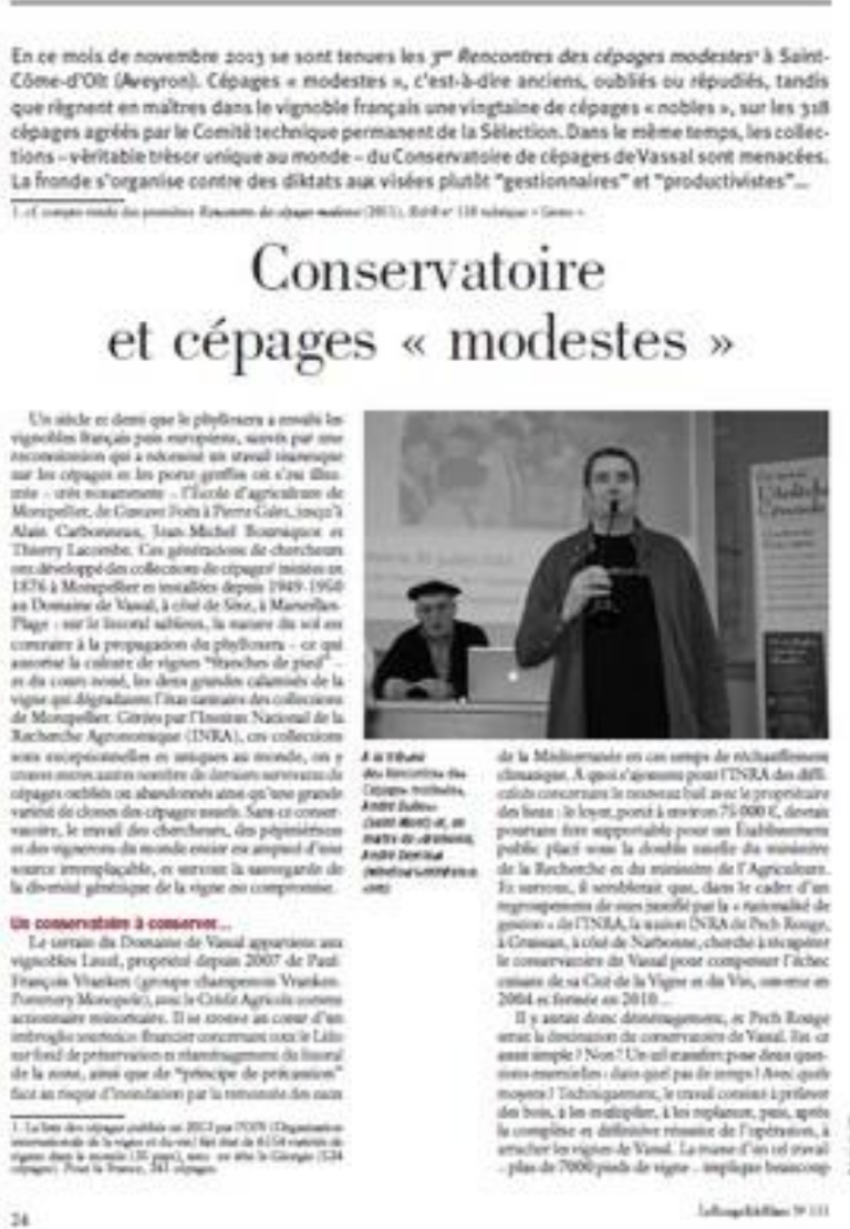 Déménagement d&rsquo;une vigne : méthodes et réglementations en France expliquées.