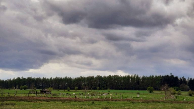 Météo : entre promesses et désillusions, la comédie climatique continue