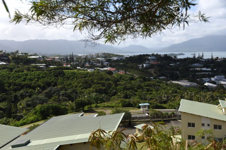 À Sakamoto, un projet de parc relance le débat sur l’urbanisation