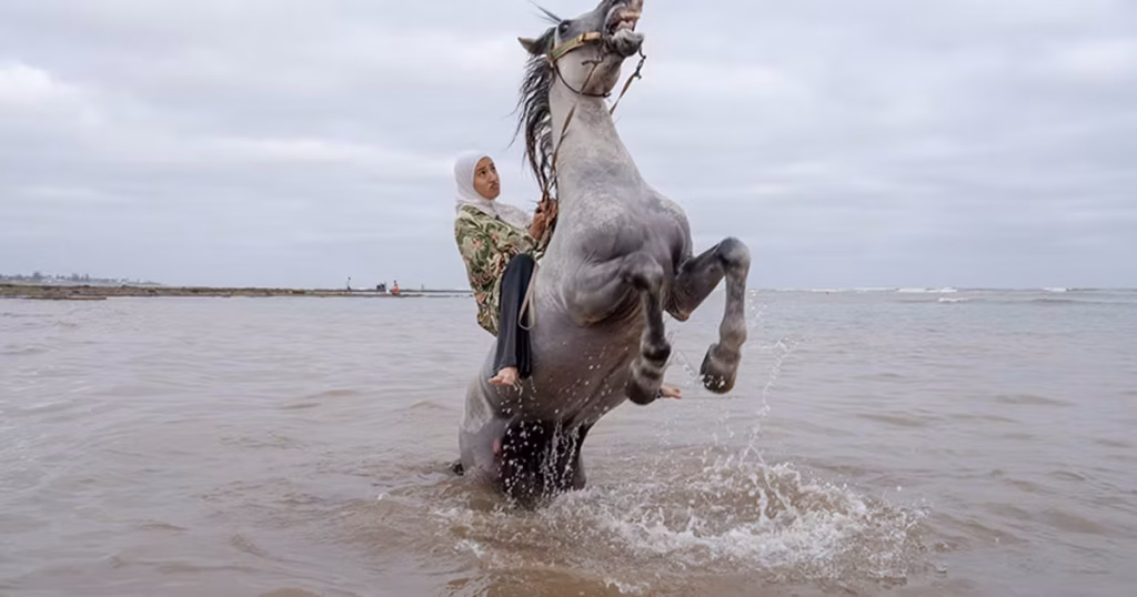Chantal Pinzi dénonce l'absurde : les cavalières marocaines face aux dirigeants conservateurs des villes RN