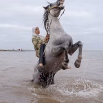 Chantal Pinzi dénonce l'absurde : les cavalières marocaines face aux dirigeants conservateurs des villes RN